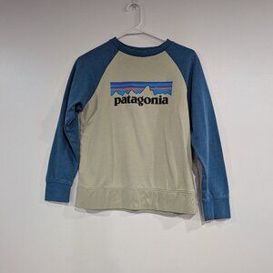 Patagonia Raglan Baseball Style Sweatshirt Grey-Green Blue Size Large